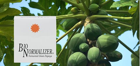 Bio Normalizer a dietary supplement made from tropical fruit known as Green Papaya. Healthy food