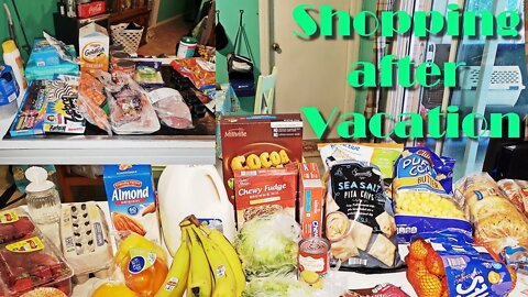 Shopping after Vacation * Walmart Haul / Aldi Haul* Family of 5