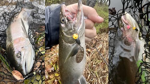 Steelhead & Salmon Fishing With Spinners, Blade Baits & Beads Fall Steelhead Fishing Michigan Rivers