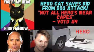 HERO Cat saves Kid from Dog Attack! Video of the Day #9