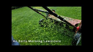 An Early Morning Lawnicure