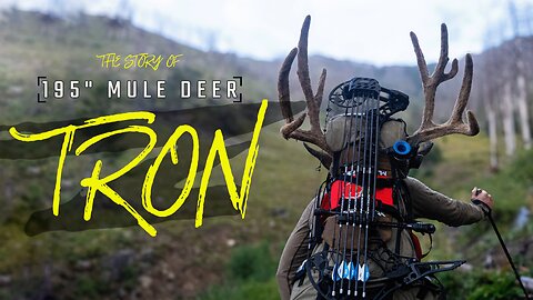 Bowhunting 195 Inch Mule Deer: The Story of "TRON"