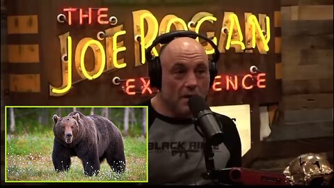 Joe Rogan & Forest Galante - New Jersey’s massive bear problem