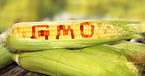 GMO Tuesday, Fake Food, Fake Climate Change...