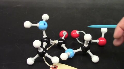 CHM1032L Unit 15 Amino Acids and Proteins Video Experiment