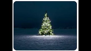 CHRISTMAS TREES - RENT A REAL, LIVE, GROWING TREE THAT GETS PLANTED FOR GOOD AT MATURITY HEIGHT