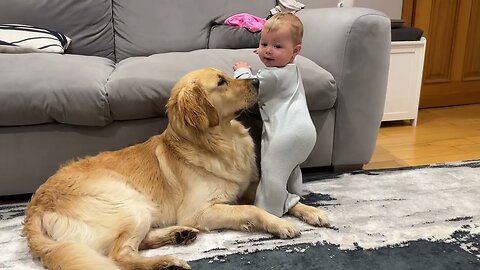 Adorable Baby Boy Loves His Golden Retriever Pup! (Cutest Ever!!)