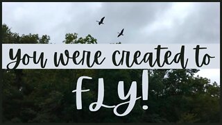 You Were Created to FLY!
