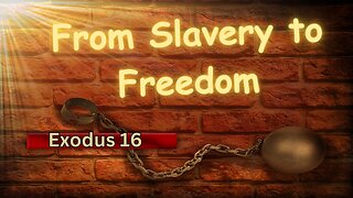 From Chains to Canaan: Exodus 16