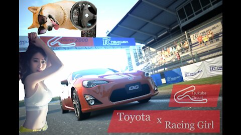 (A) Racing Girl Sleep x Toyota 86 @: 182 x 100cm (B) TÜ Reliability Report + manual @ MotorRing 筑波