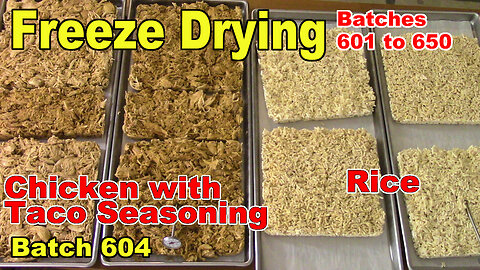 Freeze Drying Batch 604 - Shredded Costco Rotisserie Chicken with Taco Seasoning, and Rice