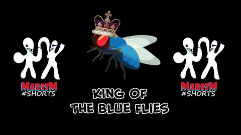 King of the blue flies - Harlem Shake