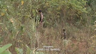 Gov. Valadares: corpo de homem é encontrado em matagal com marcas de tiros