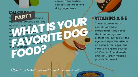 What is your favorite dog food?