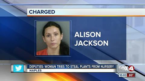 Woman Tries to Steal Plants From Nursery