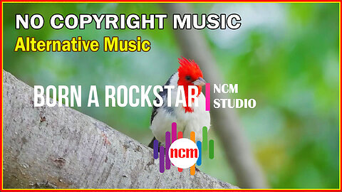 Born a Rockstar - NEFFEX: Alternative Music, Dark Music, Thrill Music @NCMstudio18 ​