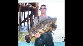 Sheephead Red Snapper Fishing with The Best Fisherman I've known. High Quality American Seafood