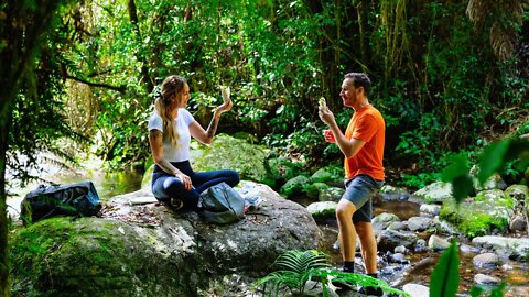 Walking in Australian Mountains | Springbrook Mountain - Purling Brook Falls