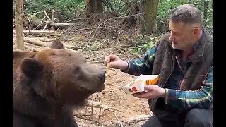 If A Bear Won't Eat It, Neither Should You - HaloRockNews