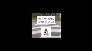 Pepe Lives Matter: Meme Magic Moments 2022