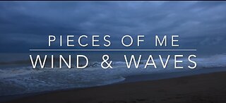 Wind & Waves | 1 HOUR Calming Sounds of the Ocean