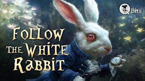 #648 // FOLLOW THE WHITE RABBIT - LIVE