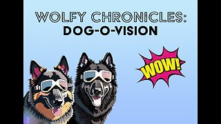 Dog-O-Vision