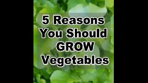 5 Reasons You Should Grow Vegetables