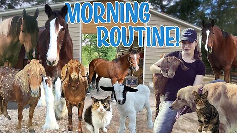 Winter Morning Routine with 30+ Pets! | *SUPER CUTE ANIMALS*