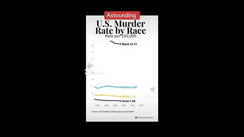 Murder stats by race in America