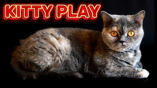 KITTY PLAY