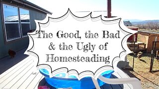 The Good, the Bad & the Ugly of Homesteading
