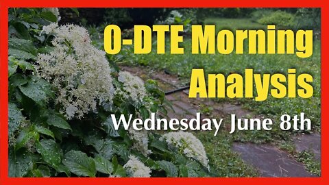 0-DTE Morning Market Analysis - June 8th