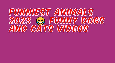 Try Not To Laugh Challenge - Funny Cat & Dog Vines compilation