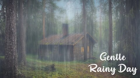 8 HOURS OF RAIN IN THE WOODS BIRDS CHIRPING | WHITE NOISE FOR RELAXATION, SLEEP & CURE INSOMNIA