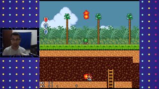 Super Mario Bros 2 | SNES World 3-2