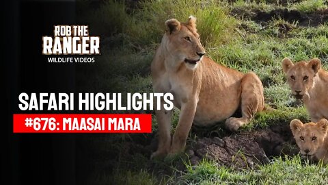 Safari Highlights #676: 19 & 20 March 2022 | Lalashe Maasai Mara | Latest Wildlife Sightings