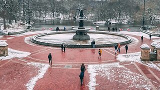 New York City SNOW LIVE: Beautiful Central Park ❄️