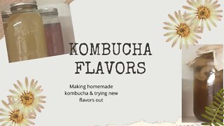 Kombucha flavors