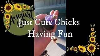 Just Cute Chicks Having Fun
