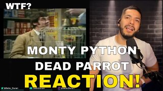 Monty Python Dead Parrot Sketch (Reaction!)