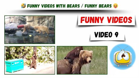 Funny videos / Funny videos with bears / funny bears