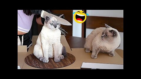 Viral FUNNY ANIMALS 2024 || NEW VIDEOS FUNNIEST CATS AND DOGS 😺🐶