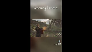 Rescuing Beasts