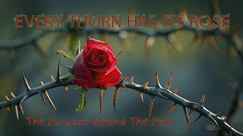 Every Thorn Has Its Rose: The Purpose Behind The Pain