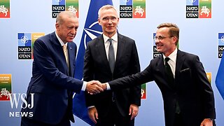 Turkey Agrees to Let Sweden Join NATO | WSJ News Jul 10, 2023