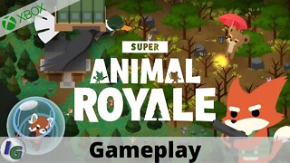 Super Animal Royale (Game Preview) Gameplay on Xbox