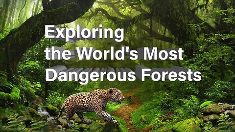 Exploring the World's Most Dangerous Forests || Top 10 Dangerous Forests in The World