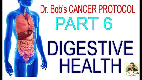 Cancer Protocol Part 6 - Probiotic/Prebiotics & Digestive Enzymes
