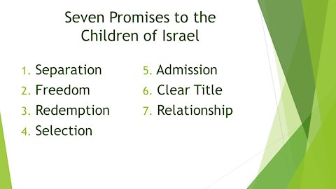 Seven Promises